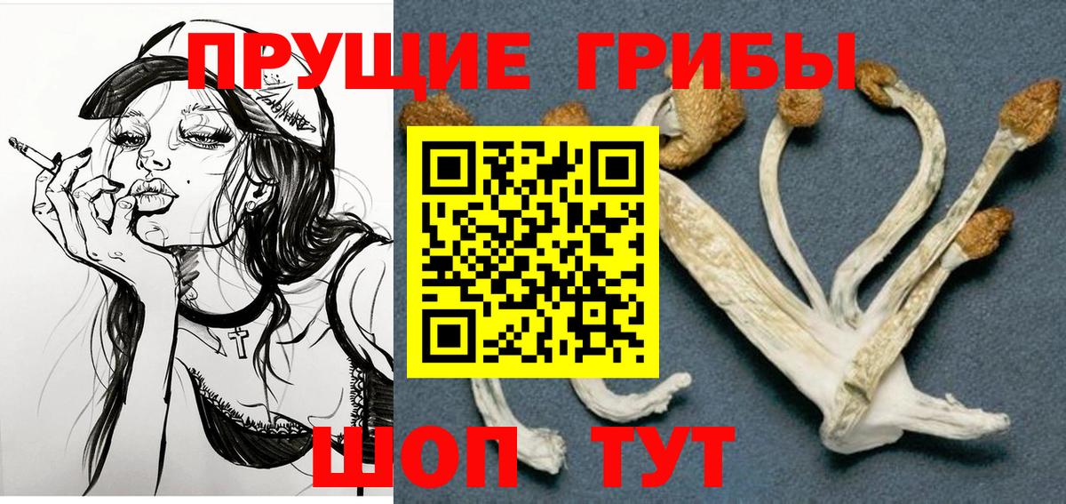 наркотики  Псилоцибиновые грибы GOLDEN TEACHER  Вход с VPN  Белорецк 