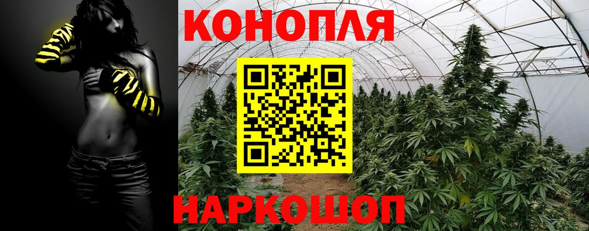 Канабис Bruce Banner  Вход с VPN  Конопля индика  Белорецк  Бошки Шишки Amnesia  Шишки марихуана семена 